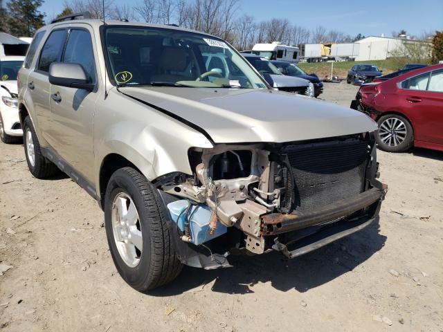 Ford Escape xlt (2010)