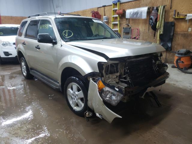 Ford Escape xlt (2010)