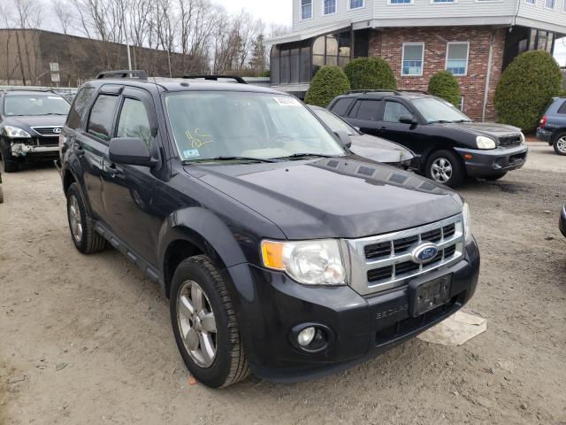 Ford Escape (2011)
