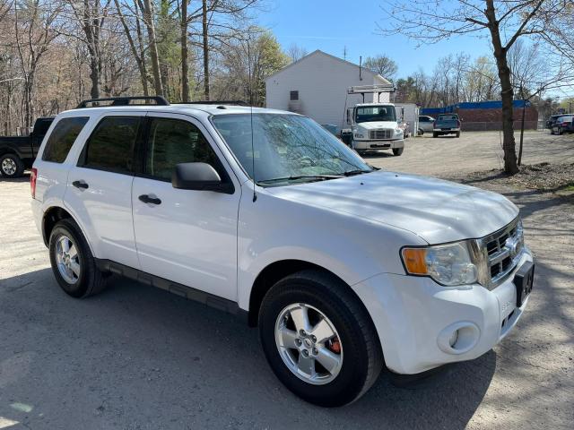 Ford Escape xlt (2011)