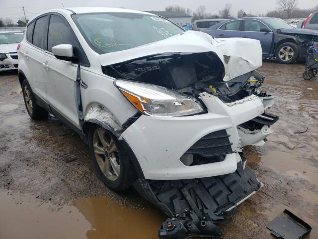 Ford Escape se (2014)