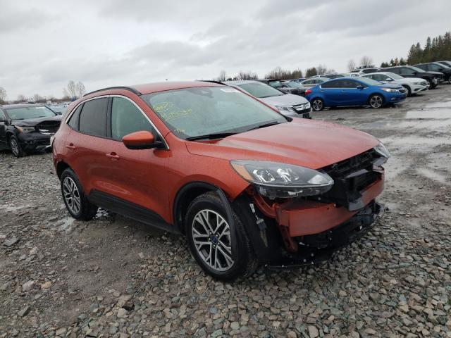 Ford Escape sel (2020)
