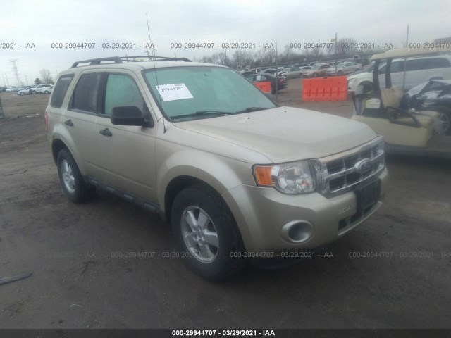 Ford Escape (2010)