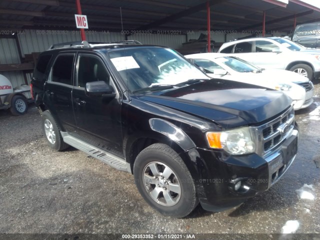 Ford Escape (2010)