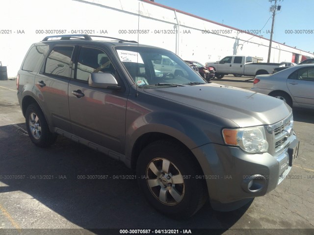 Ford Escape (2010)
