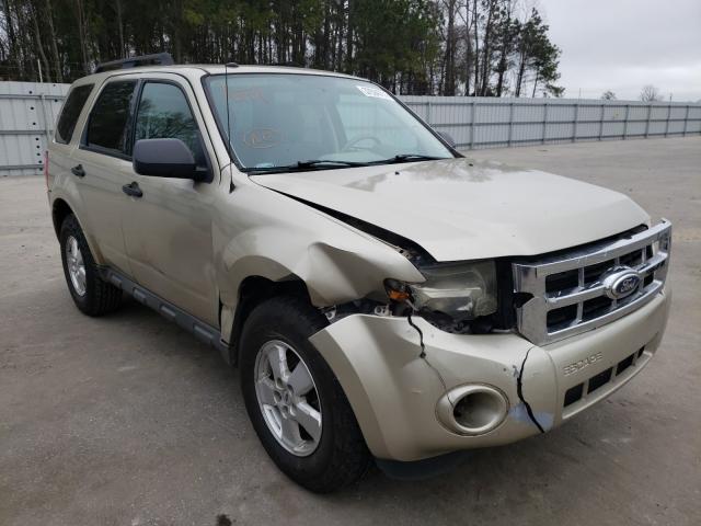 Ford Escape xlt (2010)