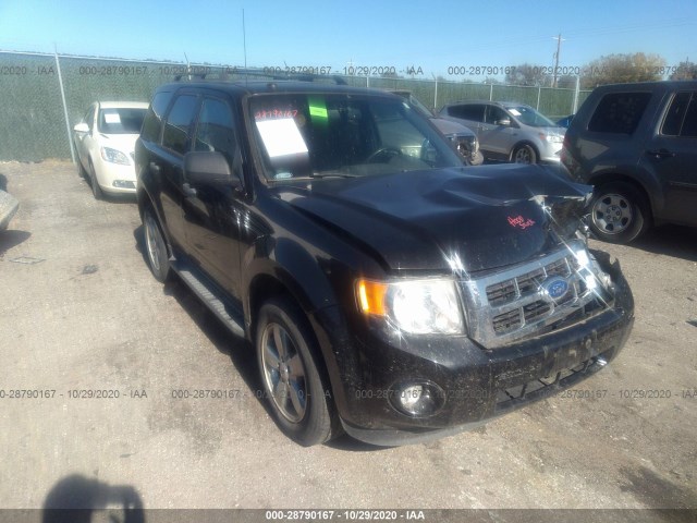Ford Escape (2011)