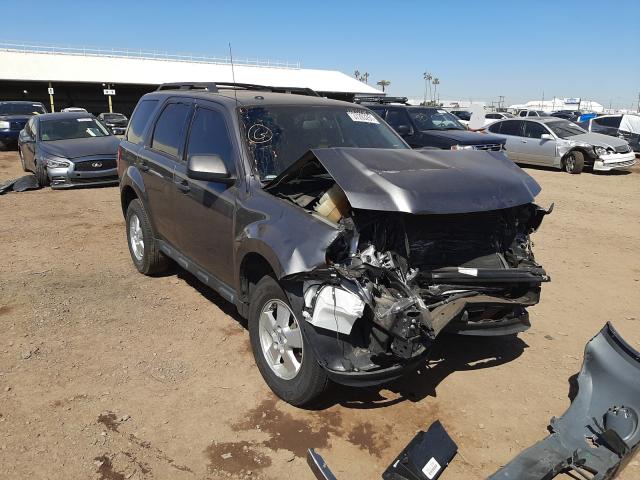 Ford Escape xlt (2011)