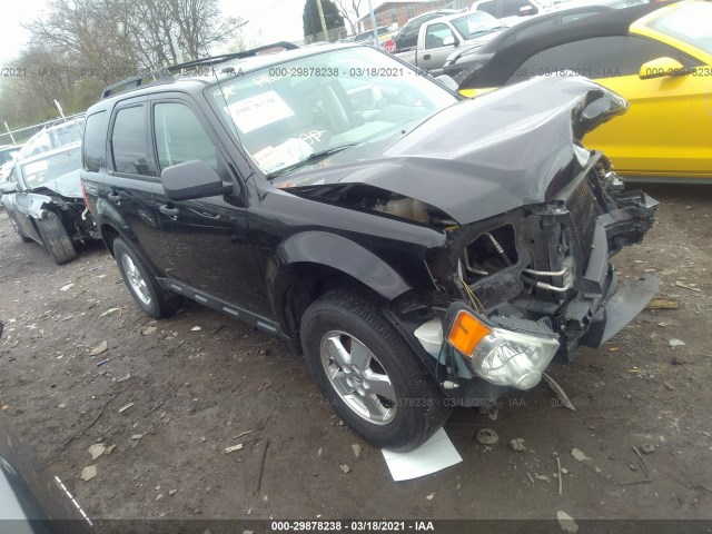 Ford Escape (2012)