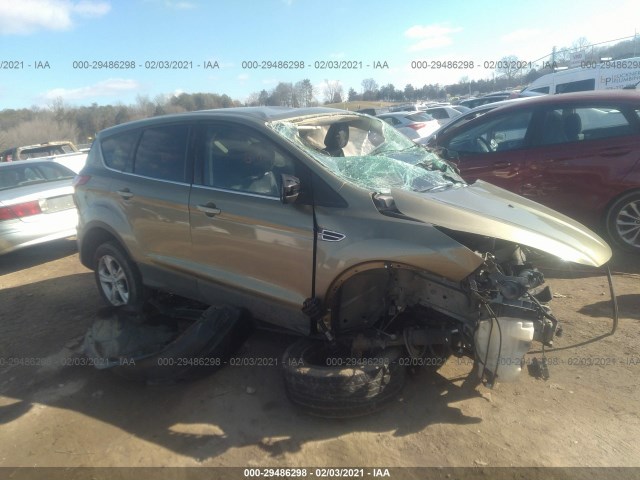 Ford Escape (2013)