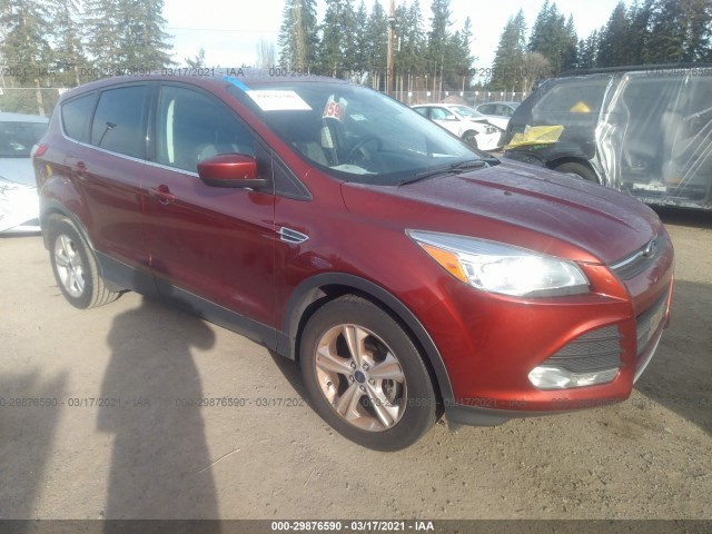 Ford Escape (2014)