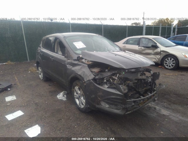 Ford Escape (2014)
