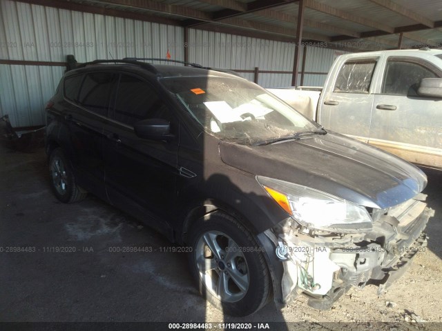 Ford Escape (2015)
