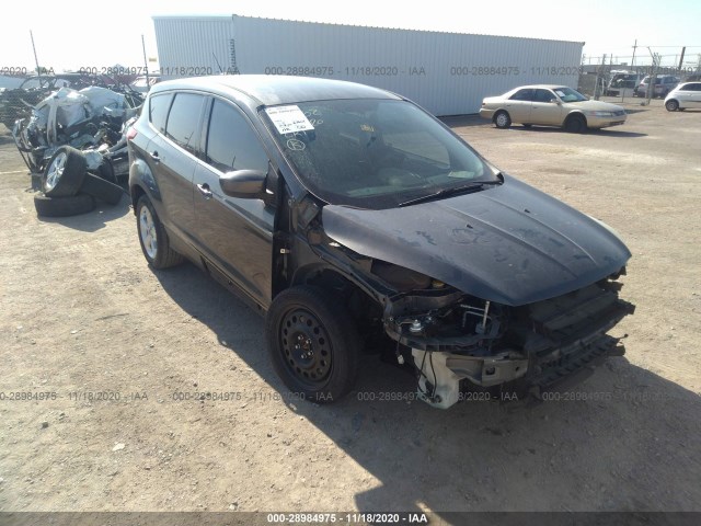 Ford Escape (2015)