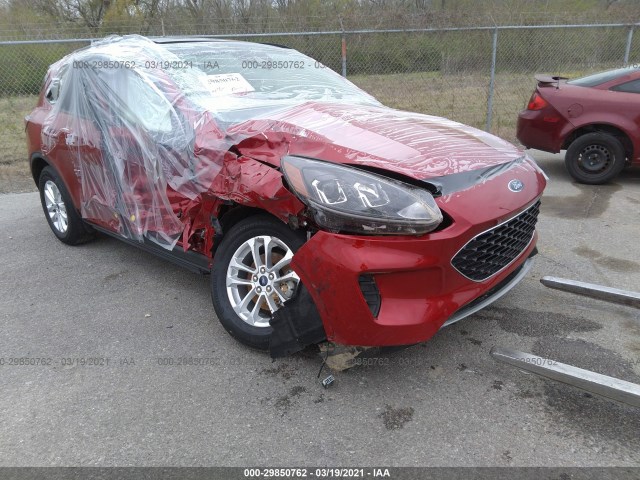 Ford Escape (2020)