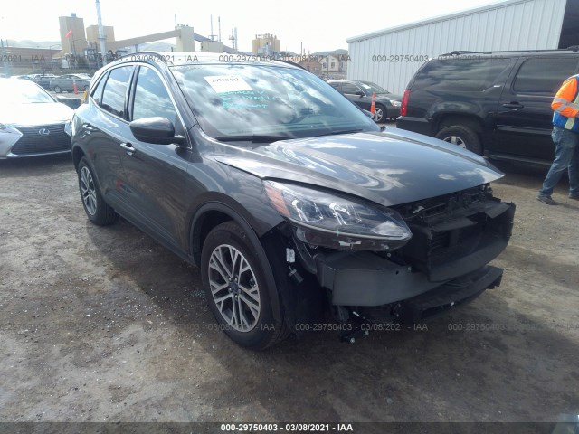 Ford Escape (2020)