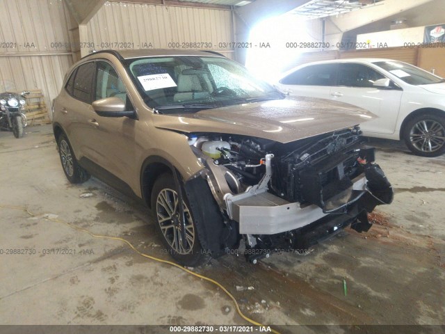 Ford Escape (2020)