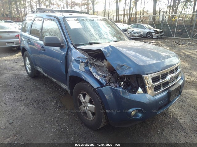 Ford Escape (2010)