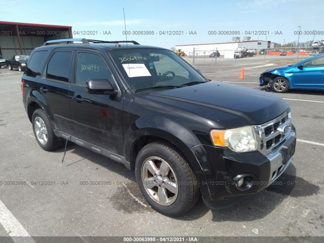 Ford Escape (2010)