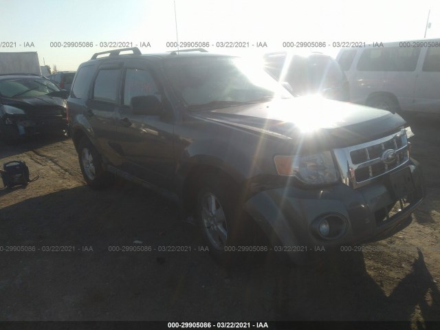 Ford Escape (2010)