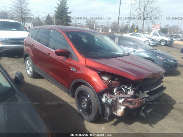 Ford Escape (2014)