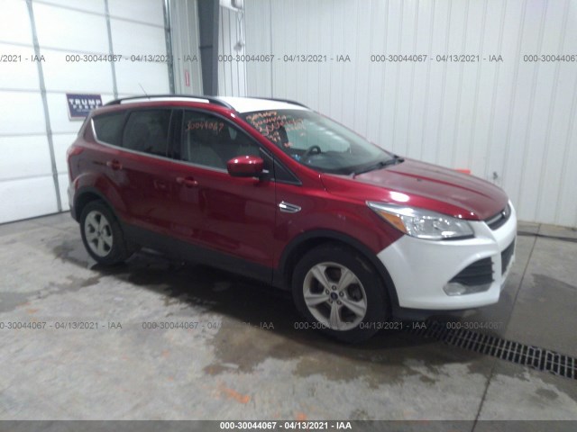 Ford Escape (2015)
