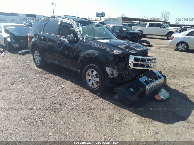 Ford Escape (2010)
