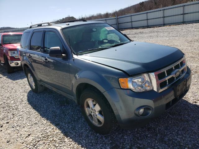 Ford Escape xlt (2011)