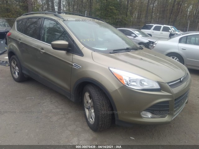 Ford Escape (2013)