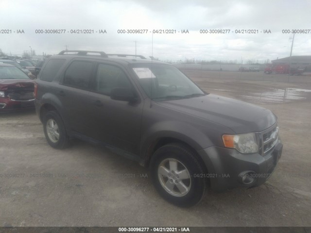 Ford Escape (2010)