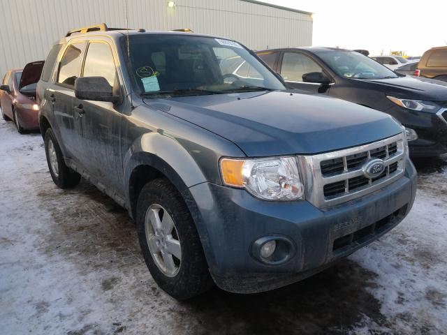 Ford Escape xlt (2010)