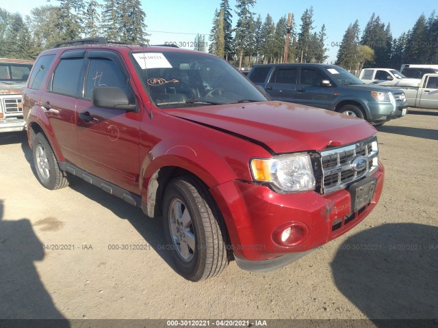 Ford Escape (2011)