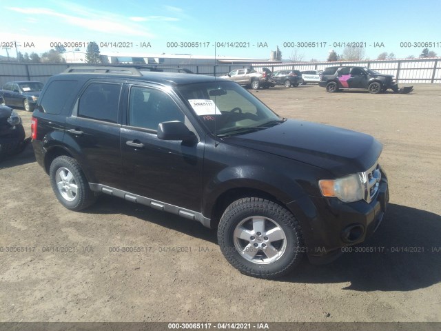 Ford Escape (2010)