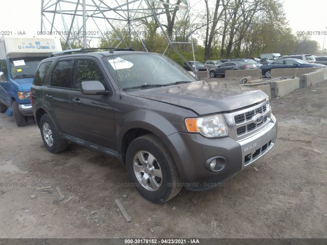 Ford Escape (2010)