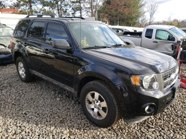 Ford Escape xlt (2010)