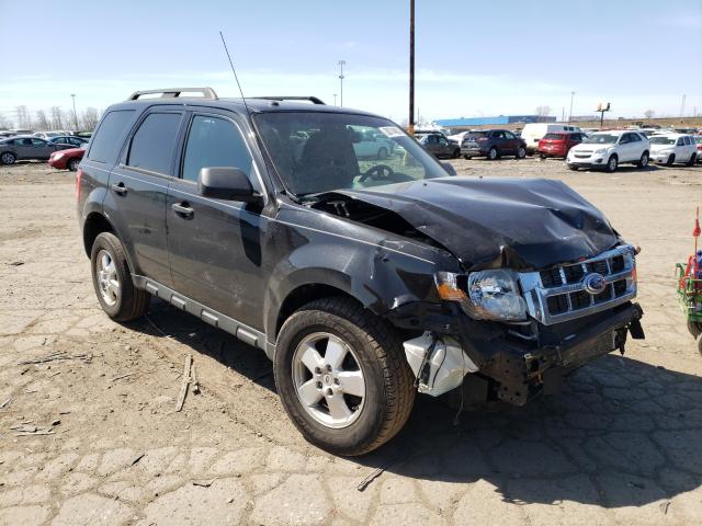 Ford Escape xlt (2011)