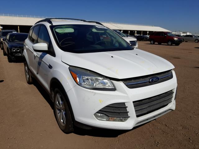 Ford Escape se (2013)