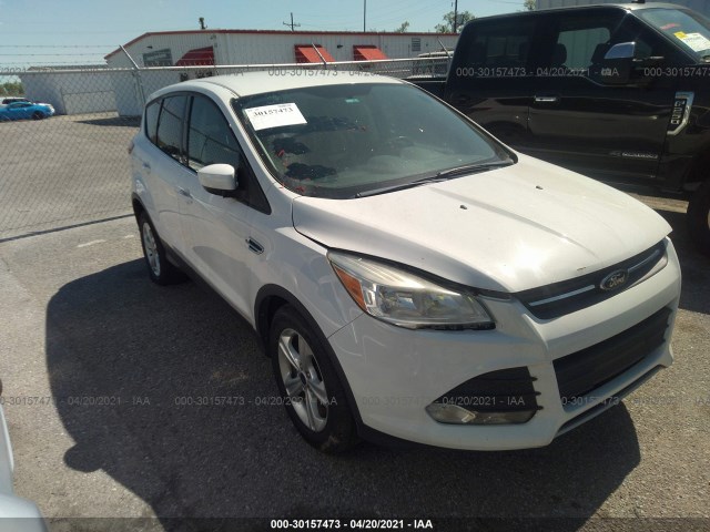 Ford Escape (2014)
