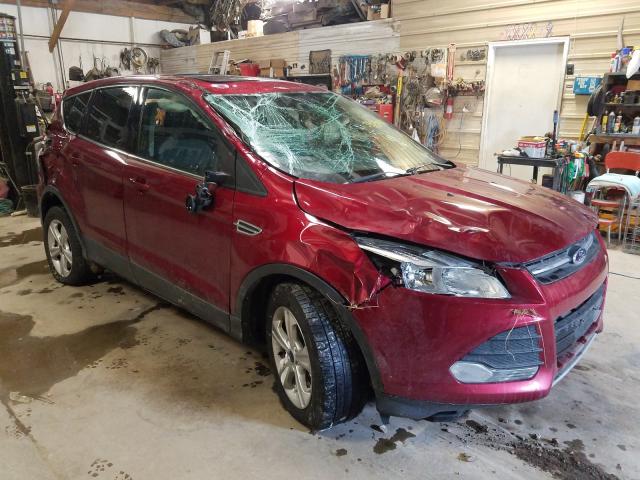 Ford Escape se (2014)