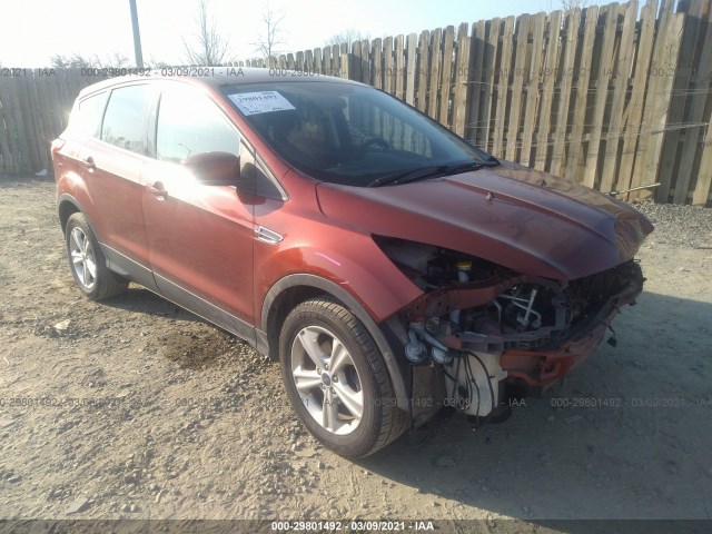 Ford Escape (2014)