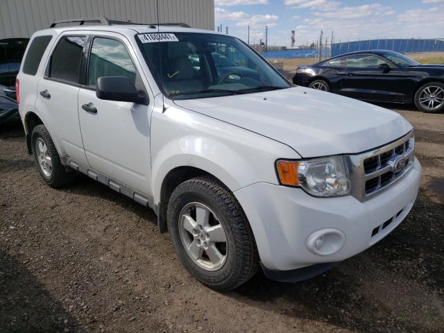 Ford Escape xlt (2010)