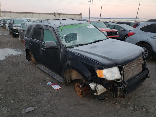 Ford Escape xlt (2010)