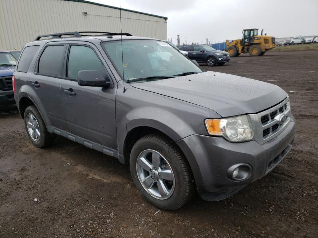 Ford Escape xlt (2011)