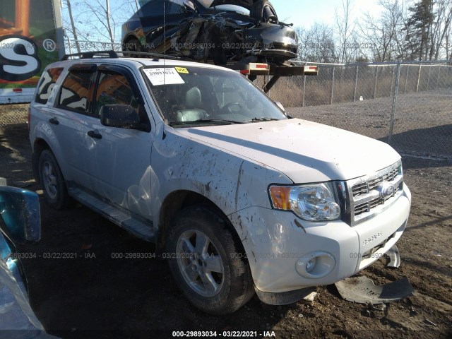 Ford Escape (2011)