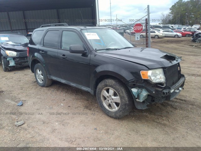 Ford Escape (2011)