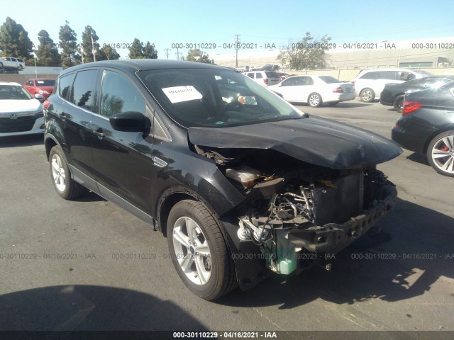 Ford Escape (2014)