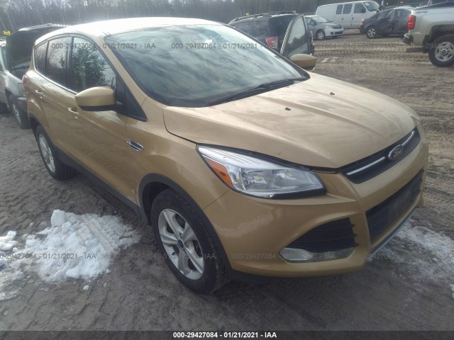 Ford Escape (2014)