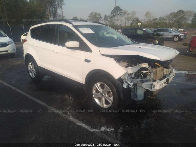 Ford Escape (2014)