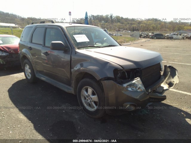 Ford Escape (2010)