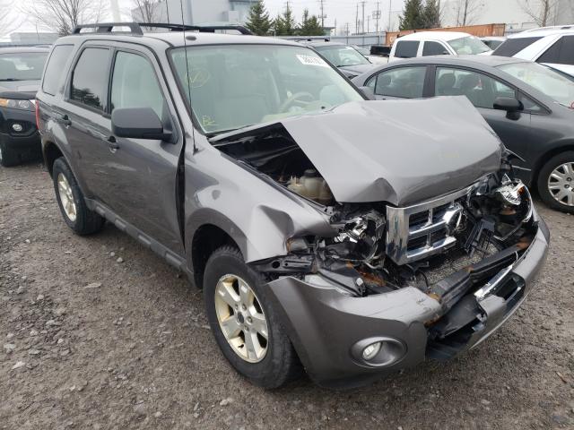 Ford Escape xlt (2010)